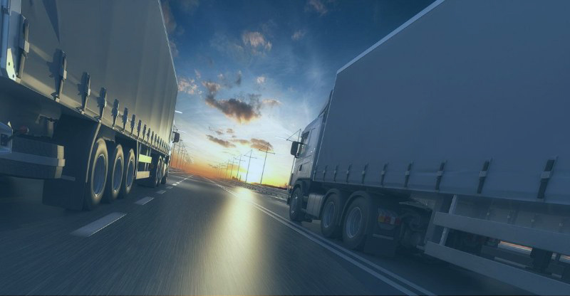 Course Image Хорека. Часть 1